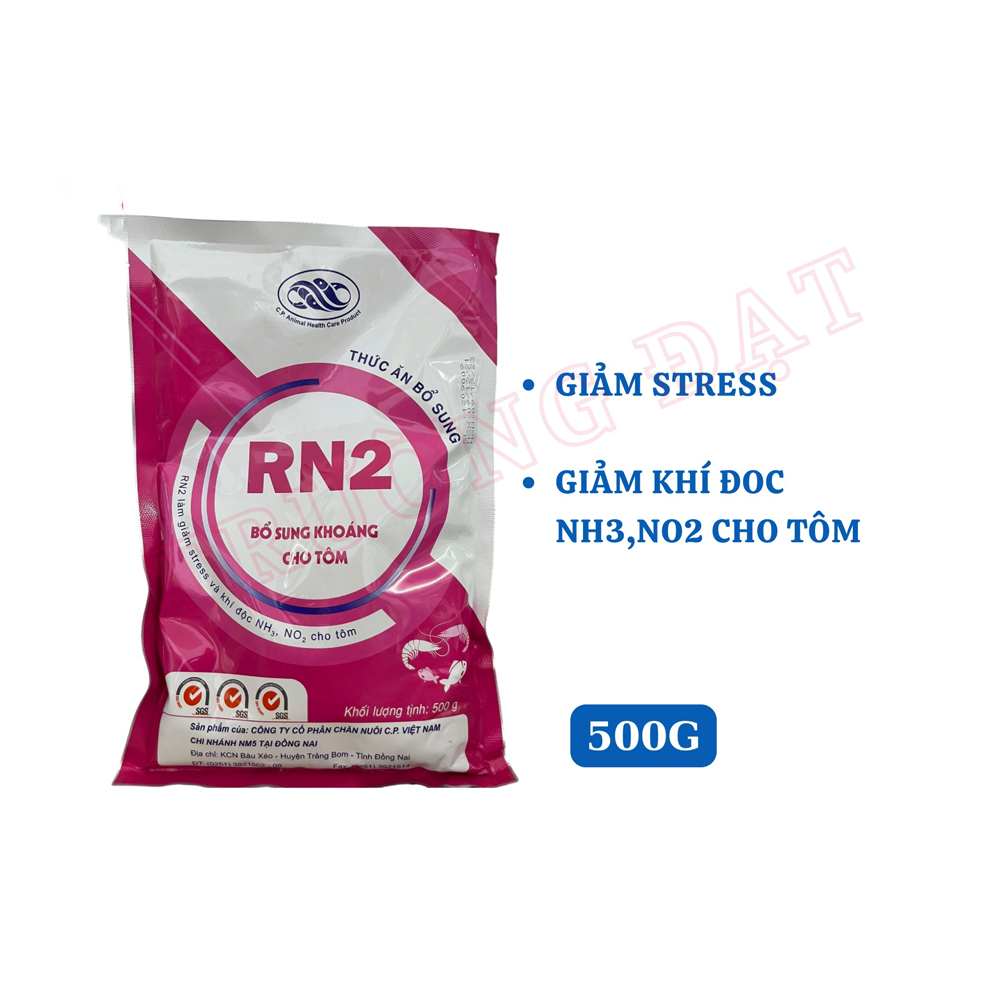 RN2 - Ảnh 4