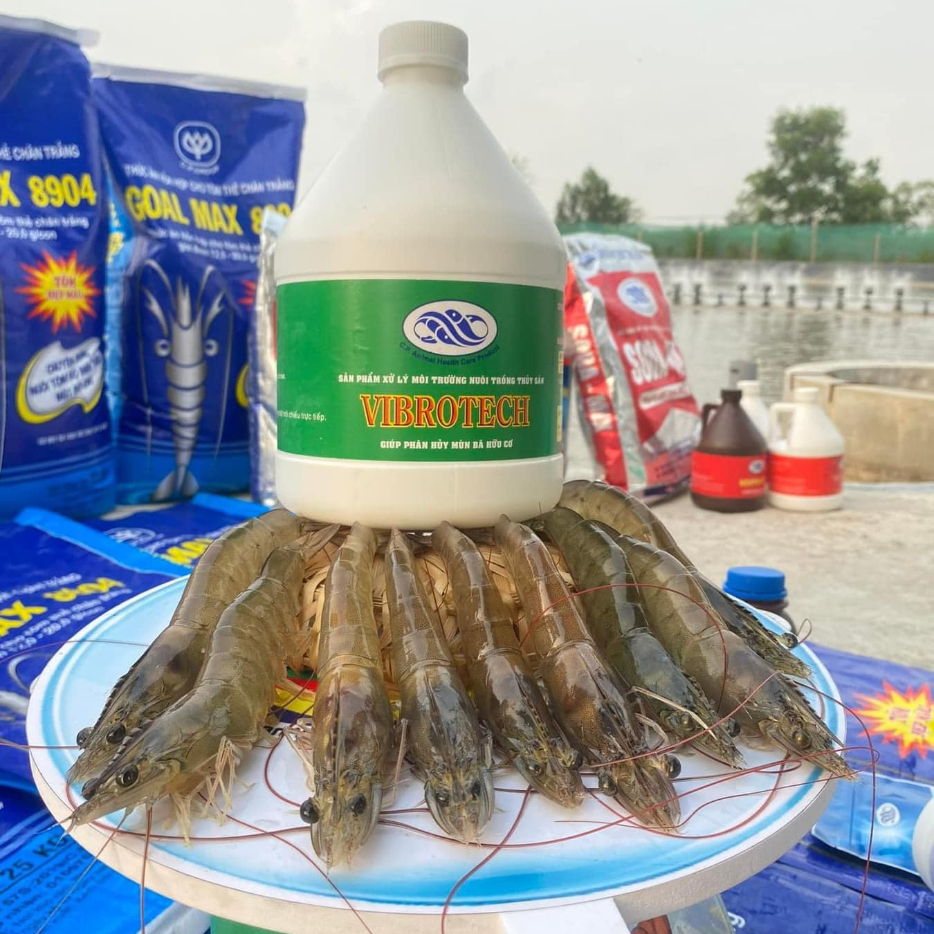 VIBROTECH - Ảnh 5
