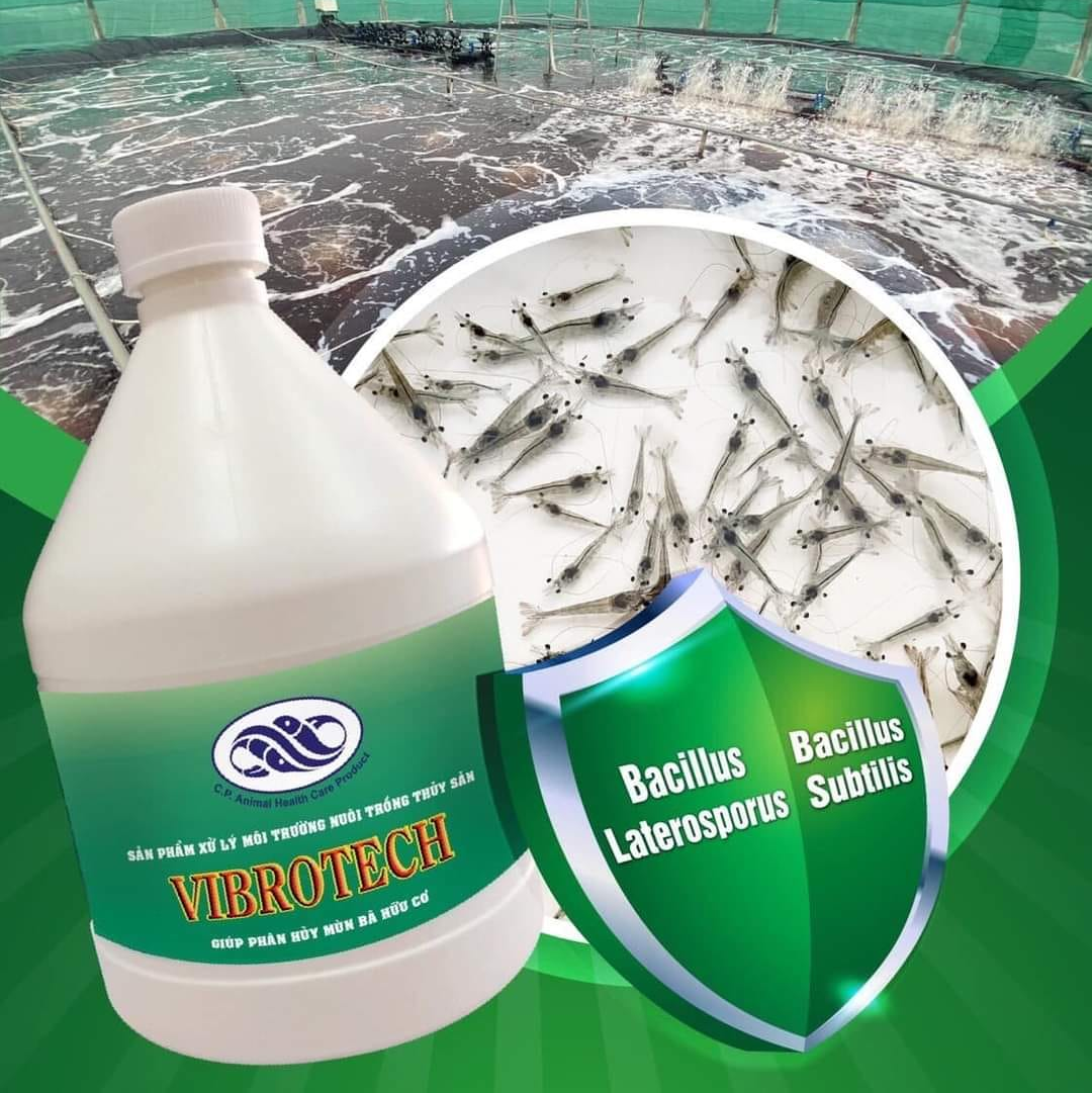 VIBROTECH - Ảnh 6