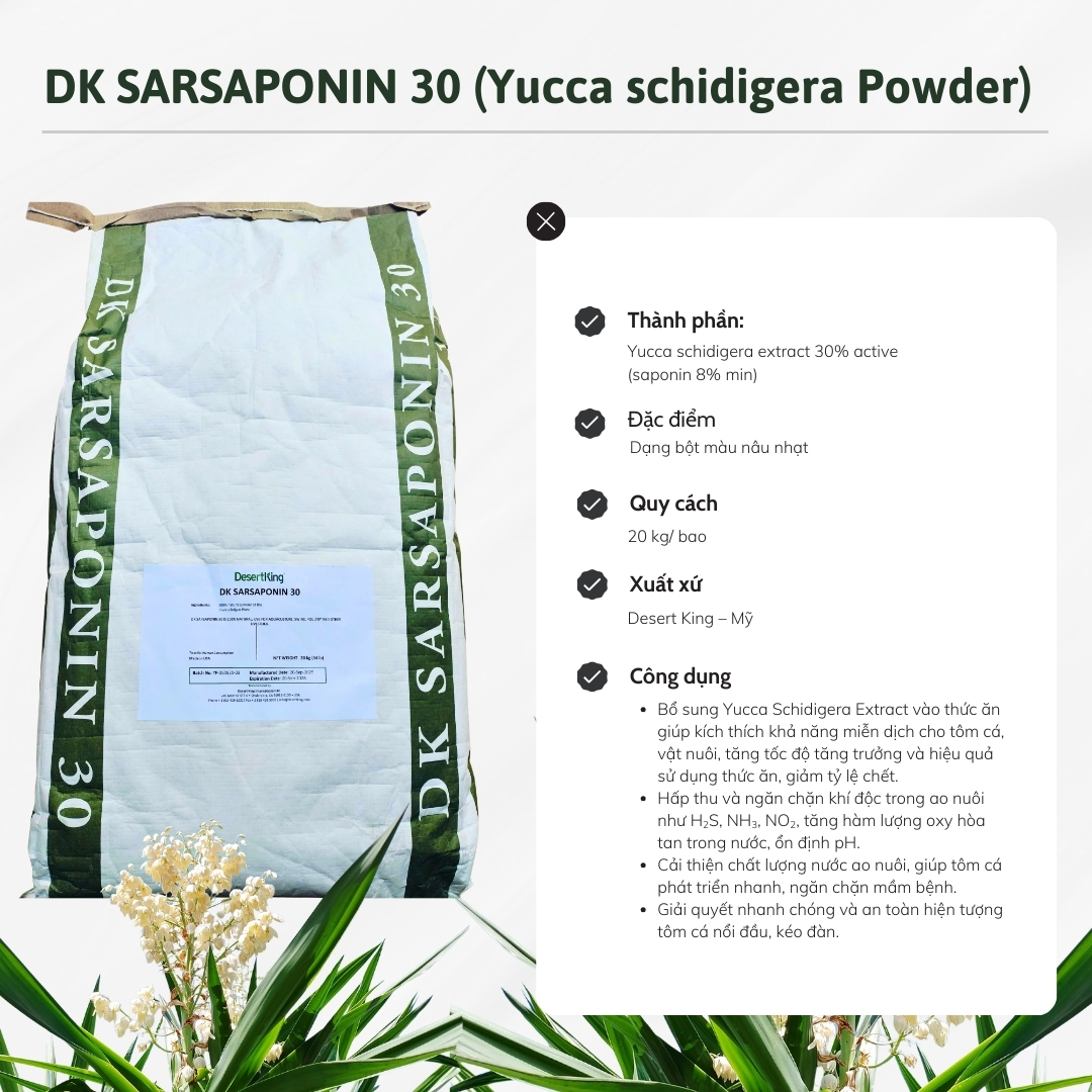 Yucca bột Mỹ DK SARSAPONIN 30 - Hấp thu khí độc ao nuôi - Ảnh 2