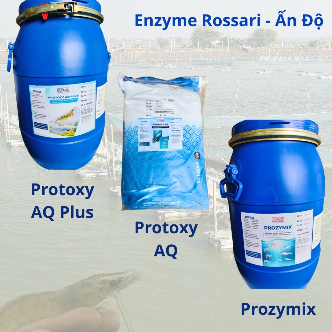 PROTOXY AQ PLUS – Enzyme Ấn Độ - Ảnh 2