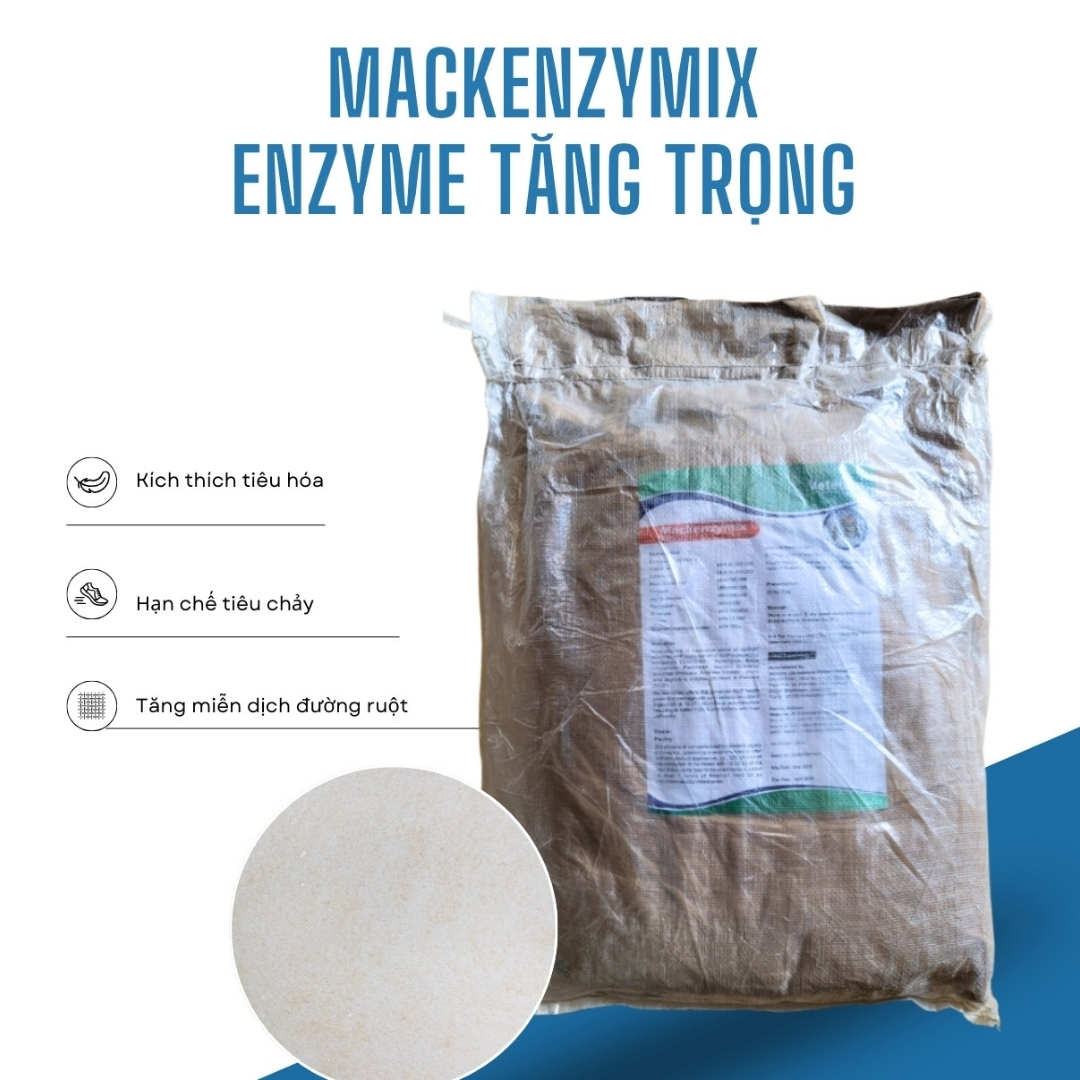 MACKENZYMIX - ENZYME TĂNG TRỌNG - Ảnh 3