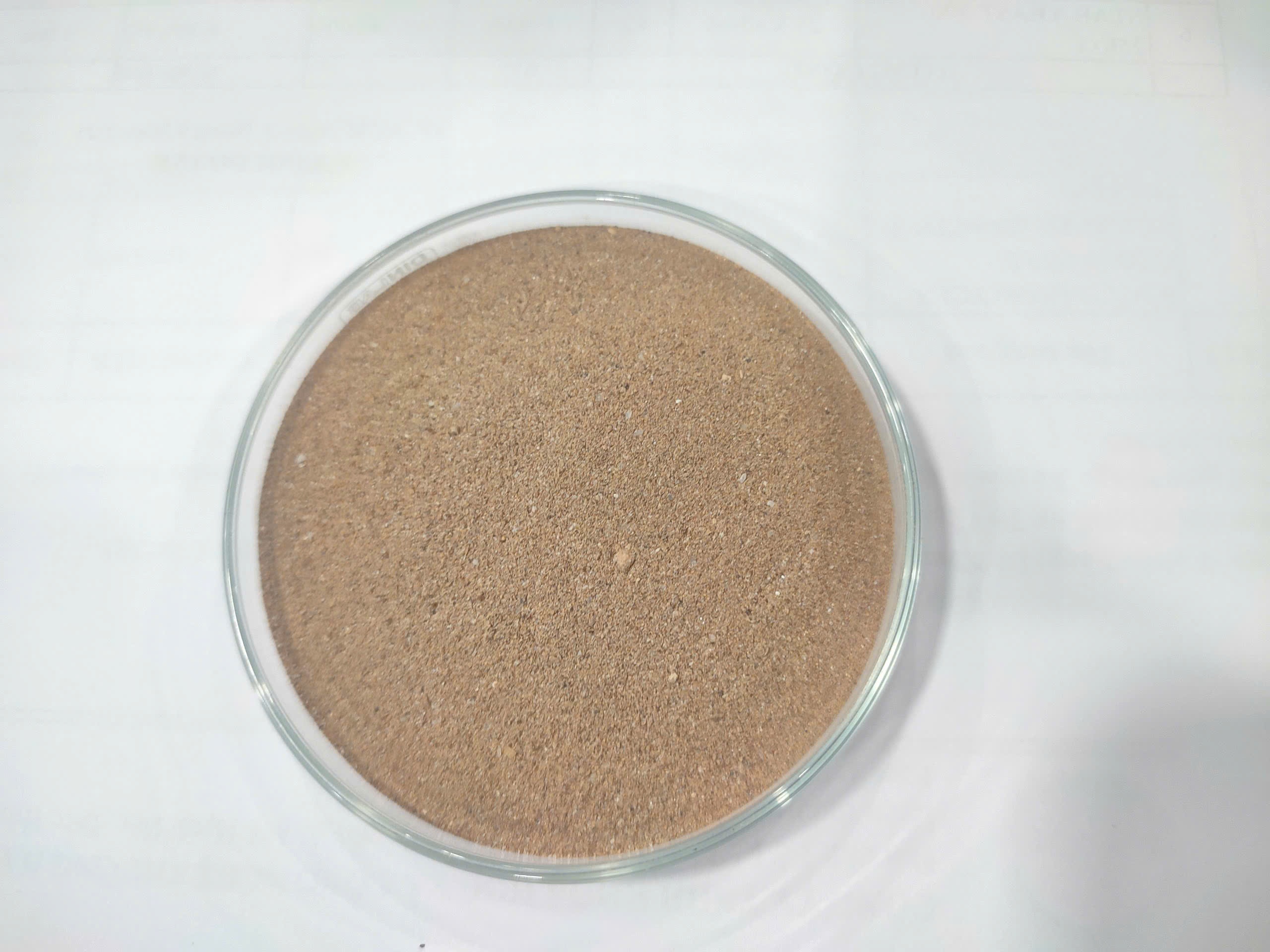 Rhodopseudomonas palustris - Ảnh 2