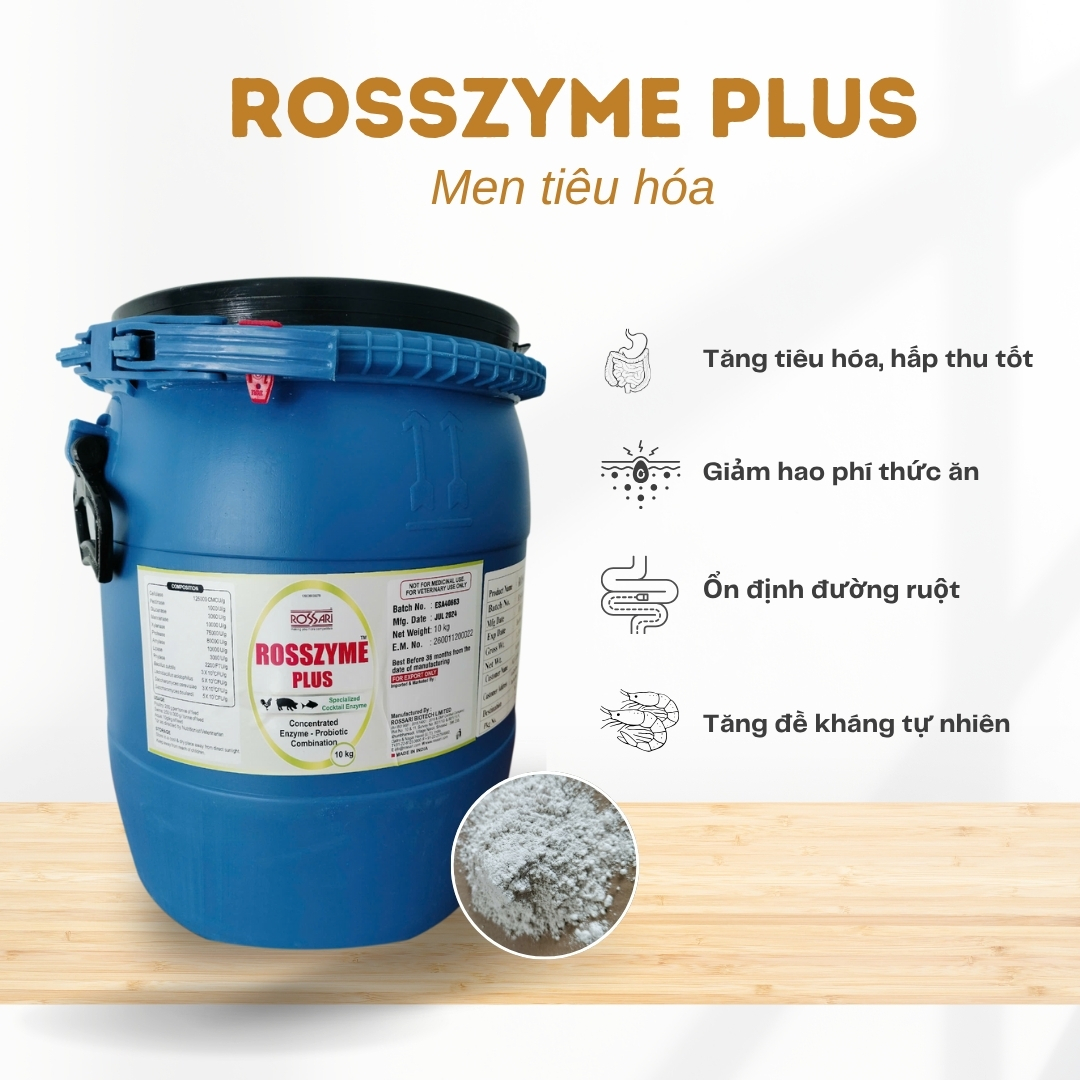 ROSSZYME PLUS - Cung cấp hỗn hợp enzyme và vi sinh đường ruột