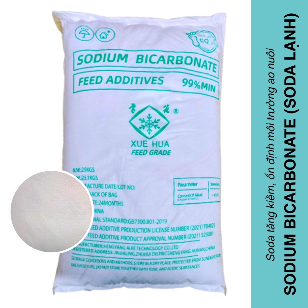 SODIUM BICARBONATE (Soda lạnh) - Ảnh 10