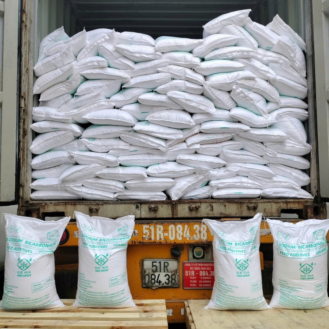 SODIUM BICARBONATE (Soda lạnh) - Ảnh 11