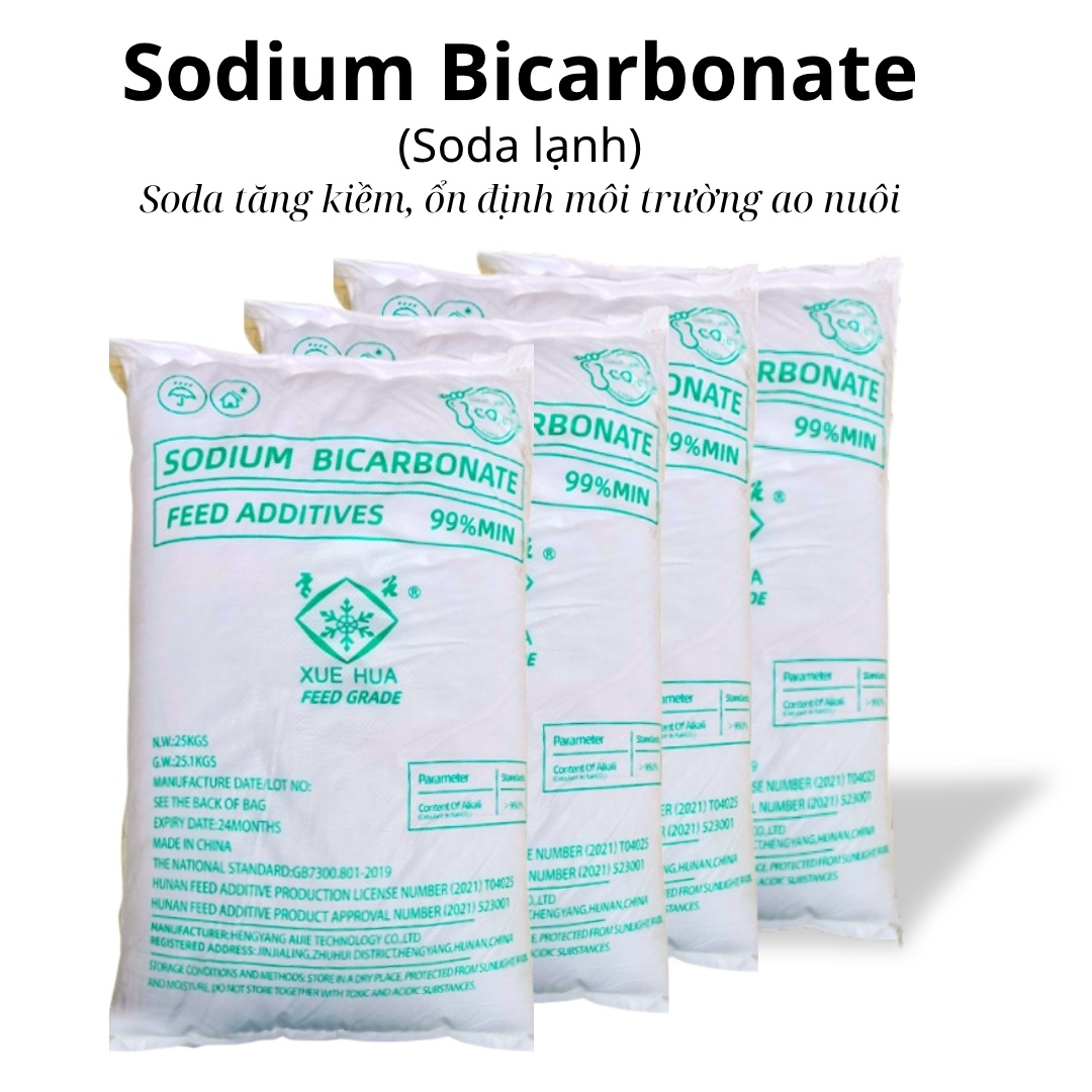 SODIUM BICARBONATE (Soda lạnh) - Ảnh 3