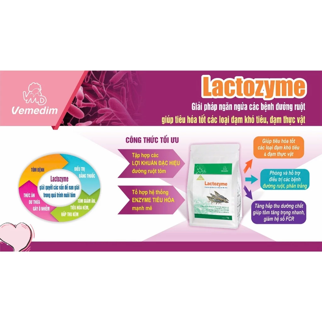 LACTOZYME - Ảnh 5