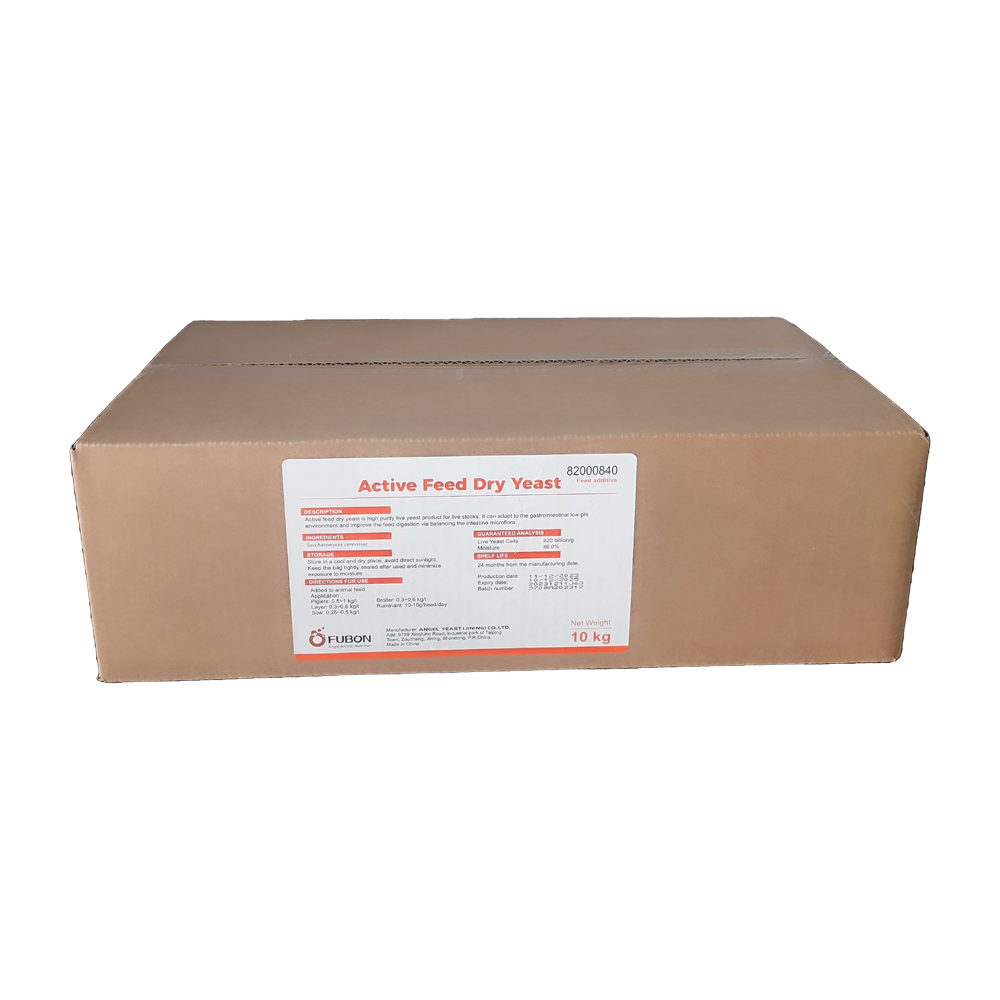 Nấm men đậm đặc hàm lượng 20 tỷ CFU/g