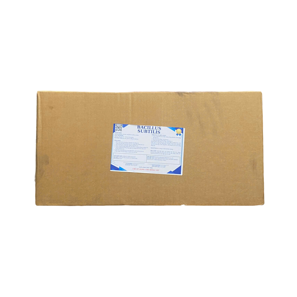 Bacillus Subtilis - Ảnh 3