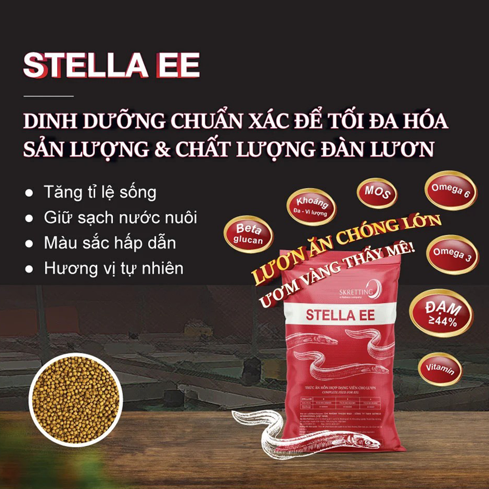 STELLA EE - Ảnh 4