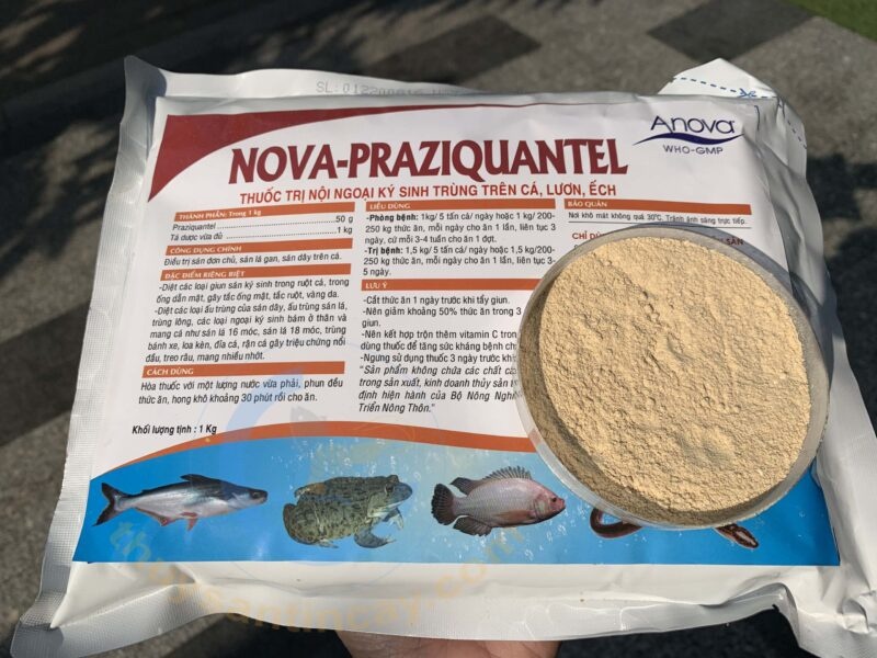 NOVA PRAZIQUANTEL - Ảnh 2