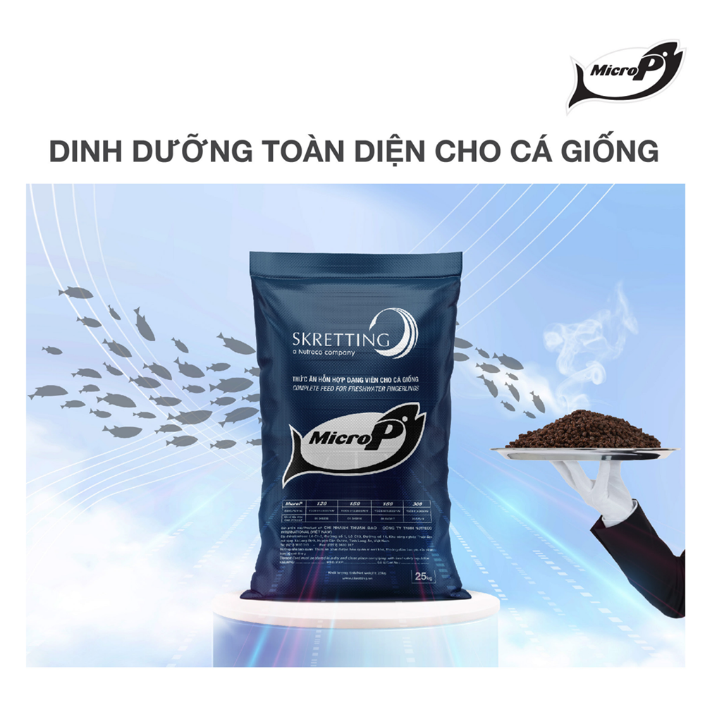 MicroP - Ảnh 3