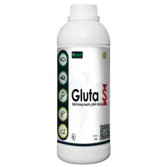 Gluta S - Diệt khuẩn phổ rộng - Gluta S