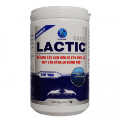 LACTIC - LACTIC - Acid hữu cơ cân bằng ph đường ruột