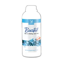 BACITAL - BACITAL - Bảo vệ đường ruột tôm