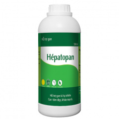Hepatopan - Hỗ trợ gan - Hepatopan