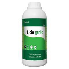 Licin Garlic - Tinh dầu tỏi - Licin garlic