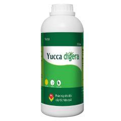 Yucca digera - Xử lý khí độc - Yucca digera