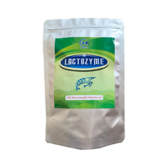 LACTOZYME - LACTOZYME nong to đường ruột
