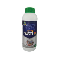 NUTRI C - NUTRI C - Tăng sức đề kháng