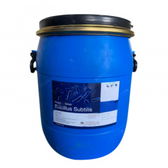 BACILLUS SUBTILIS - Men nguyên liệu đơn dòng BACILLUS SUBTILIS xử lý nước và hỗ trợ tiêu hóa, nhập Ấn Độ