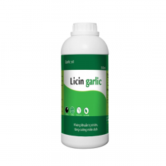 Licin garlic - Tinh dầu tỏi Licin garlic giúp tăng tăng cường miễn dịch - Chai 500ml