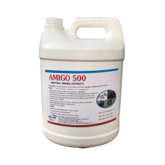 AMIGO 500 – Thảo dược diệt ngoại ký sinh trùng, an toàn cho cá giống - AMIGO 500 – Thảo dược diệt ngoại ký sinh trùng, an toàn cho cá giống