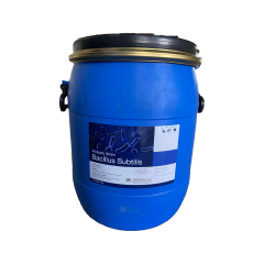 BACILLUS SUBTILIS – Siêu lợi khuẩn xử lý nước, hỗ trợ tiêu hóa - BACILLUS SUBTILIS – Siêu lợi khuẩn xử lý nước, hỗ trợ tiêu hóa