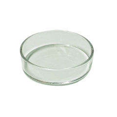 Chén Thủy Tinh - Chén thủy tinh siêu trong chuyện đựng thức ăn chìm