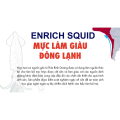 Mực làm giàu đông lạnh - SPF Enrich squid - Mực làm giàu đông lạnh - thức ăn cho tôm giống bố mẹ, cua giống