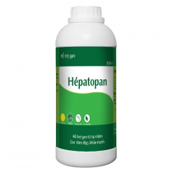 Hepatopan - Hỗ trợ gan - Hepatopan