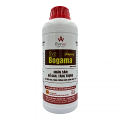 Bogama - Thảo dược giải độc gan Bogama tăng cường phục hồi chức năng phòng ngừa gan thận tăng trọng
