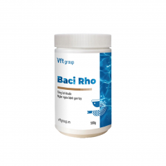 Baci Rho - Men vi sinh Baci Rho