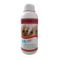 SUPERNOVA - SUPERNOVA tăng cường chức năng gan tụy cho tôm
