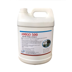 AMIGO 500 - Thảo dược AMIGO 500 diệt kí sinh trùng