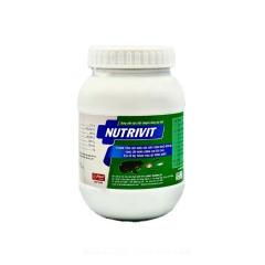 NUTRIVIT ANVET - NUTRIVIT ANVET bổ sung vitamin tăng đùi, tăng cơ thúc đẻ tăng trọng sức vitamin C cho cá lươn ếch ốc ba ba tôm thẻ