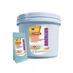 Bacillus - Men vi sinh xử lý đáy ao - Bacillus