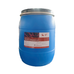 Bacillus Megaterium - Bacillus Megaterium vi sinh đơn dòng hàm lượng 10 tỷ