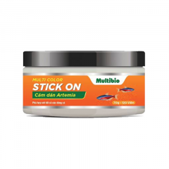 MULTI COLOR STICK ON - Cám dán Artemia MULTI COLOR STICK ON