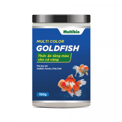 MULTI COLOR GOLDFISH - MULTI COLOR GOLDFISH
