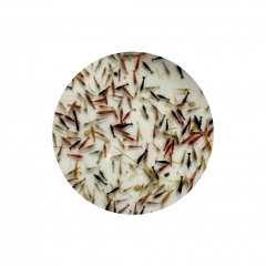 Tép loạn màu - Tép loạn màu thủy sinh trang trí bể cá