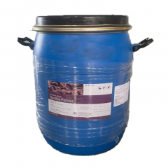 BACILLUS PUMILUS  - Ấn Độ - BACILLUS PUMILUS  - Ấn Độ