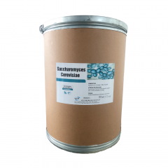 SACCHAROMYCES CEREVISIAE - SACCHAROMYCES CEREVISIAE nấm men đậm đặc hàm lượng 1 tỷ CFU/g