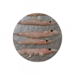 Ruốc Nam Cực - Ruốc Nam Cực sạch bệnh (SPF Antarctic Krill)