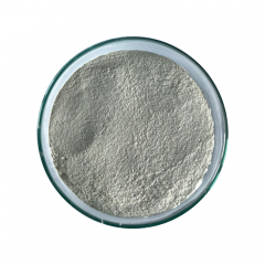 XYLANASE - Enzyme XYLANASE