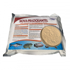 NOVA PRAZIQUANTEL - NOVA PRAZIQUANTEL - Xổ nội ngoại ký sinh trùng (giun, sán,...)