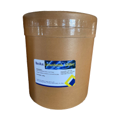 Bacillus Licheniformis - Bacillus Licheniformis lợi khuẩn đậm đặc, hàm lượng cực cao xứ lý nước, hỗ trợ tiêu hóa