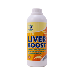 TT-LIVER BOOST THẢO DƯỢC GIẢI ĐỘC PHỤC HỒI CHỨC NĂNG GAN, TỤY, TĂNG CƯỜNG CHỨC NĂNG GAN TÔM - TT-LIVER BOOST THẢO DƯỢC GIẢI ĐỘC PHỤC HỒI CHỨC NĂNG GAN, TỤY