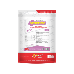 Kenzym Pro - Kenzym Pro - Men tiêu hóa chuyên điều trị đường ruột chướng hơi sình bụng